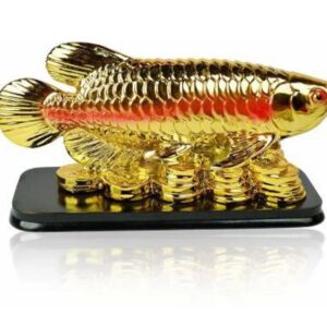 Feng Shui Fish with Coins for Career Luck and Education Luck