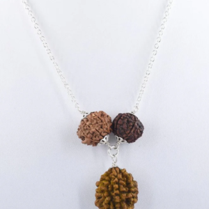Natural 2 Mukhi,7 Mukhi and 8 Mukhi Rudraksha Pendant as For Kaal Sarp Dosh